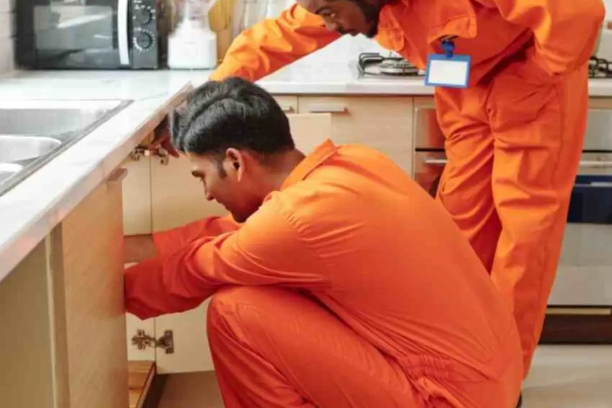 Plumber discussing an urgent plumbing problem with a homeowner